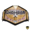 WWE United States Championship Replica Title Belt