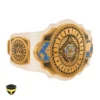 WWE Women's Intercontinental Championship Replica Title Belt (1) WWE Women's Intercontinental Championship Replica Title Belt
