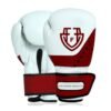 Custom Boxing Gloves