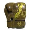 Custom Boxing Gloves
