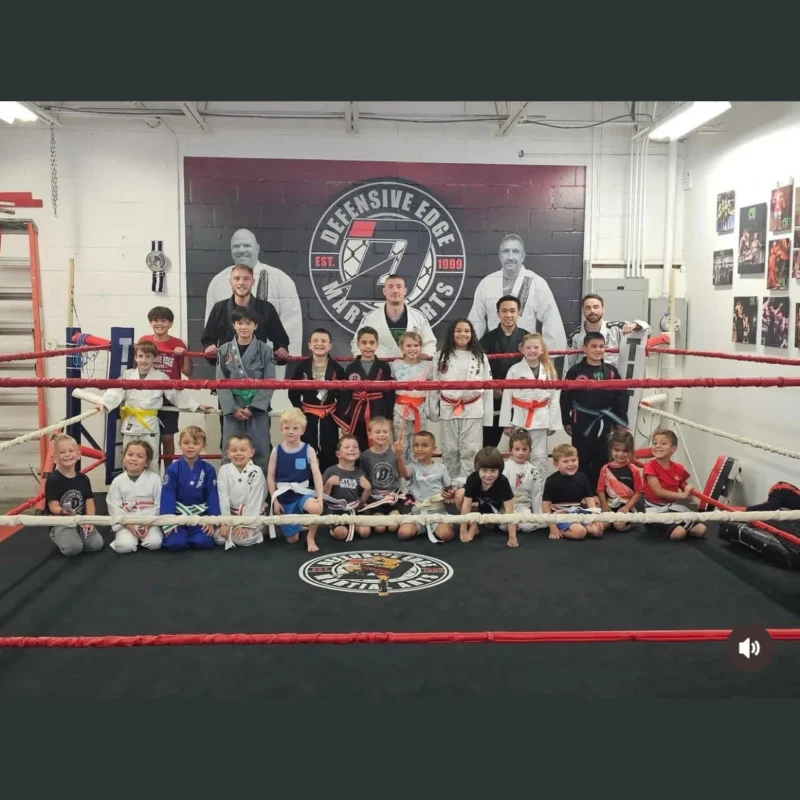 Professional Vinyl Canvas