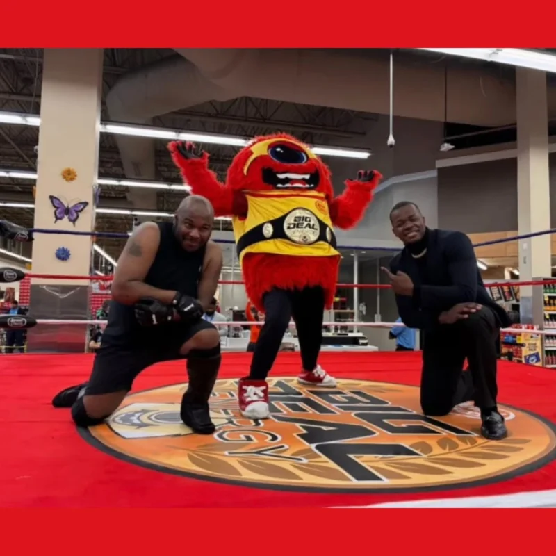 Professional Vinyl Canvas