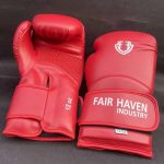 boxgloves4a