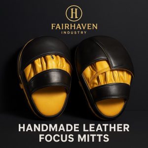 Focus Mitts – Curved Boxing Pads